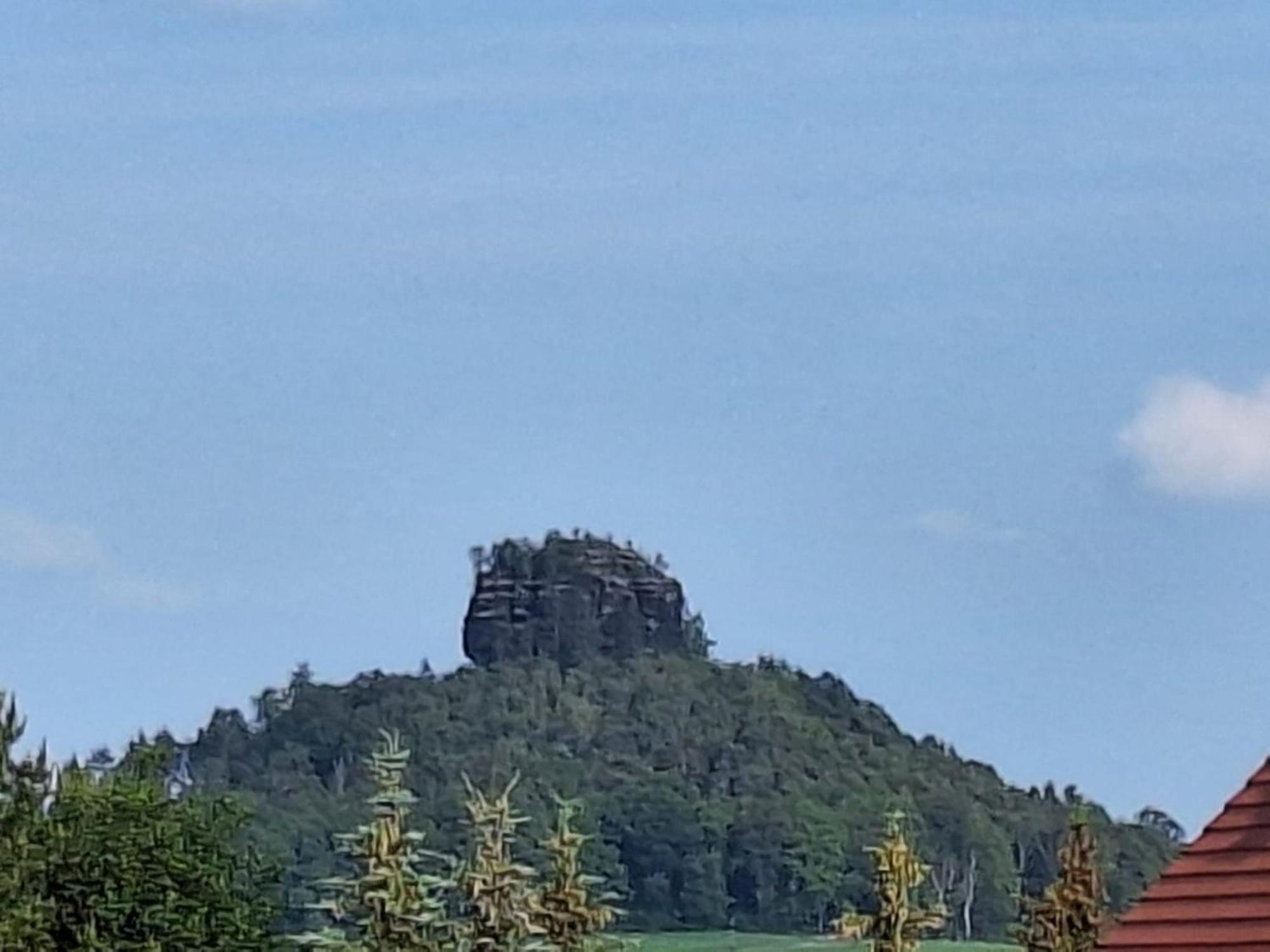 Ferienwohnung Blick Zum Zirkelstein Reinhardtsdorf-Schona Dış mekan fotoğraf